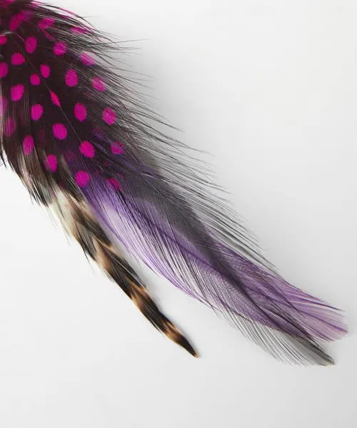 Accessories and Jewellery Joebrowns Apparel Vibrant Feather Pin Multi