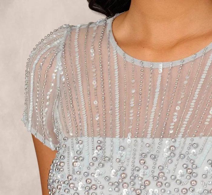 Adrianna Papell Wedding Guest Dresses Beaded Short Sleeve Midi Dress With Sheer Details In Snow Globe 8211 Women