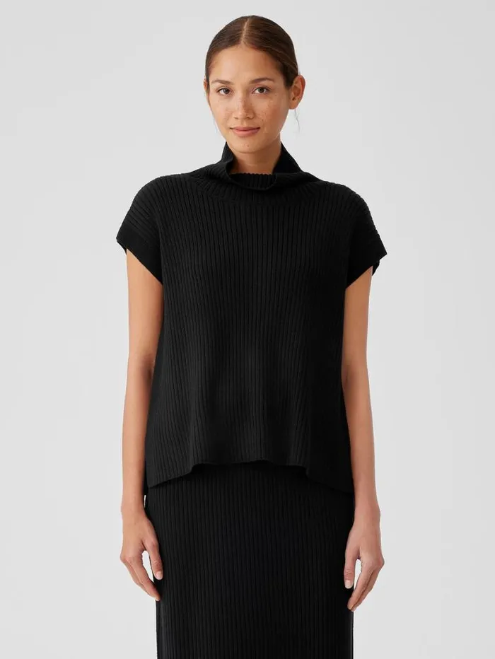 Eileen Fisher Extended Sizing 1X3X Merino Turtleneck Top In Regenerative Wool Black 8211 Shop