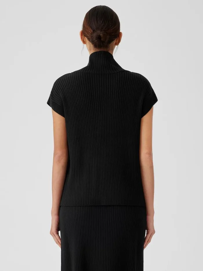 Eileen Fisher Extended Sizing 1X3X Merino Turtleneck Top In Regenerative Wool Black 8211 Shop