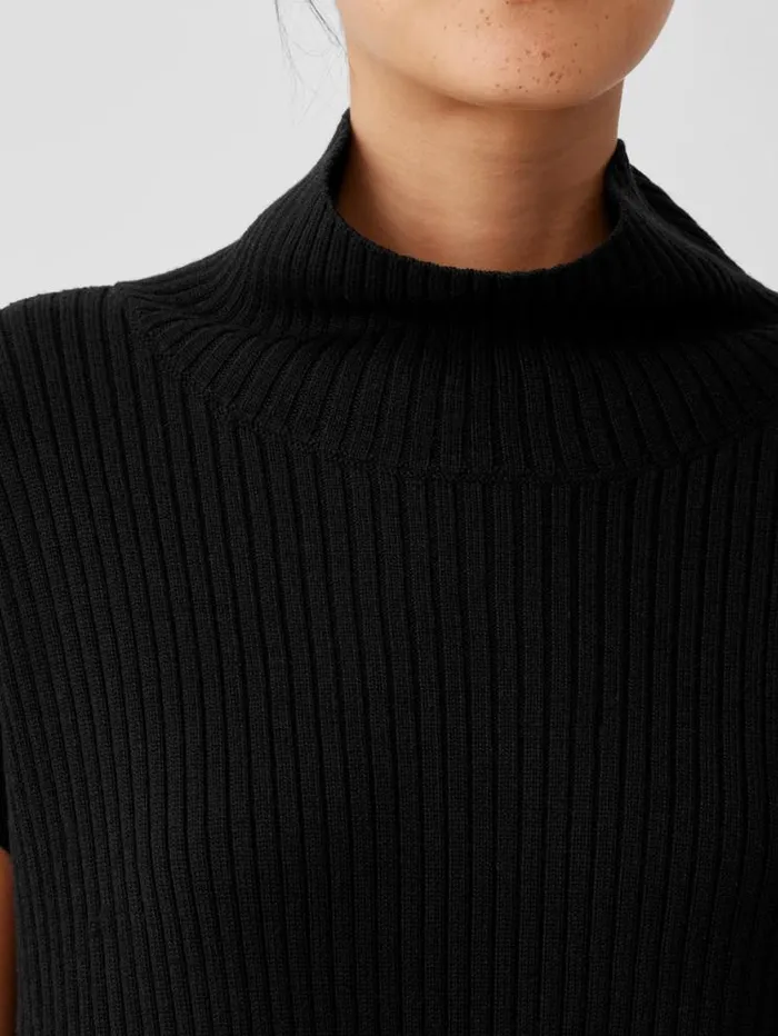 Eileen Fisher Extended Sizing 1X3X Merino Turtleneck Top In Regenerative Wool Black 8211 Shop
