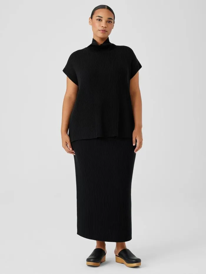Eileen Fisher Extended Sizing 1X3X Merino Turtleneck Top In Regenerative Wool Black 8211 Shop