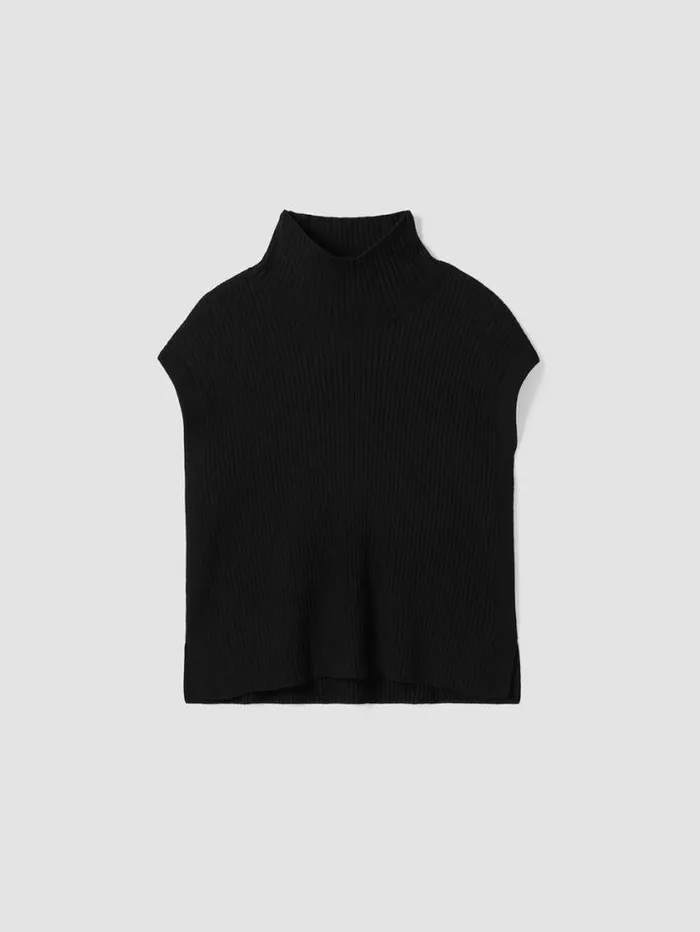 Eileen Fisher Extended Sizing 1X3X Merino Turtleneck Top In Regenerative Wool Black 8211 Shop