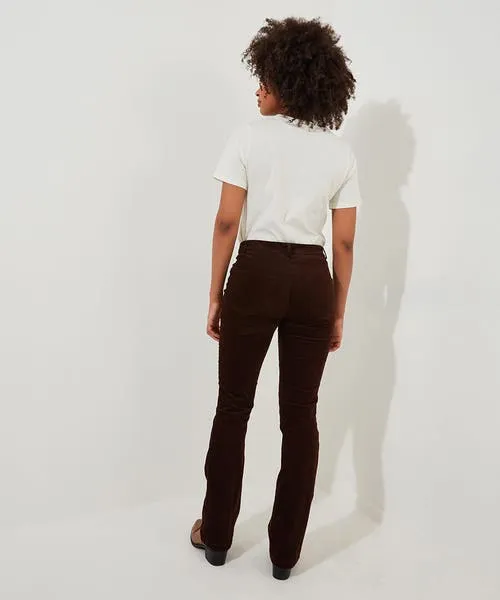 Jeans and Trousers Apparel Joebrowns Perfect Moleskin Trousers Chocolate Jeans and Trousers Apparel Joebrowns Perfect Moleskin Trousers Chocolate