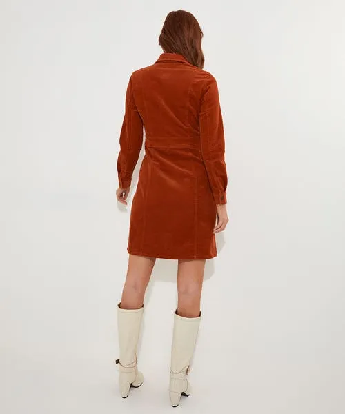 Joebrowns Dresses Apparel Josie Cord Button Through Dress Orange