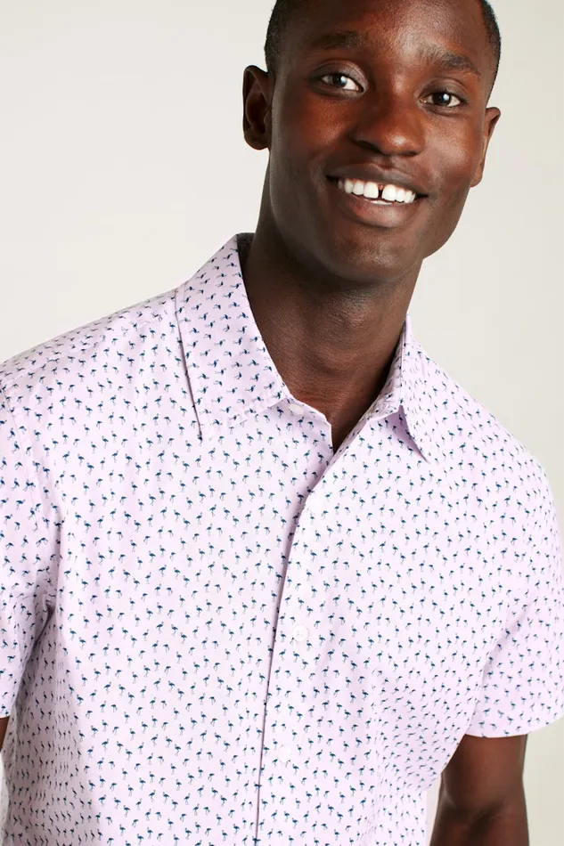 Men Bonobos Short Sleeve Shirts Button Up Your Style With Bonobos039 Riviera Short Sleeve Shirt Purple Micro Flamingo
