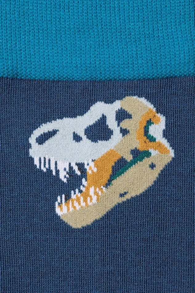 Men Bonobos Socks and Underwear Soft and Comfortable Bonobos Everyday Dress Socks Blue Dinosaur Fossils Men Bonobos Socks and Underwear Soft and Comfortable Bonobos Everyday Dress Socks Blue Dinosaur Fossils