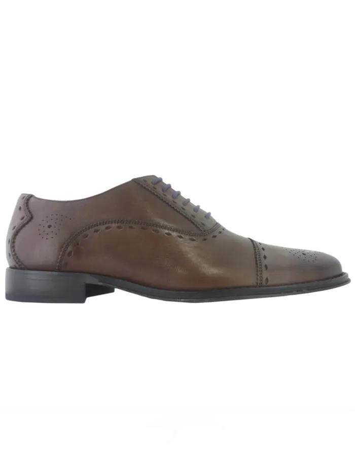 Men Shoes Robert Graham MANHATTAN SHOES Dark Brown